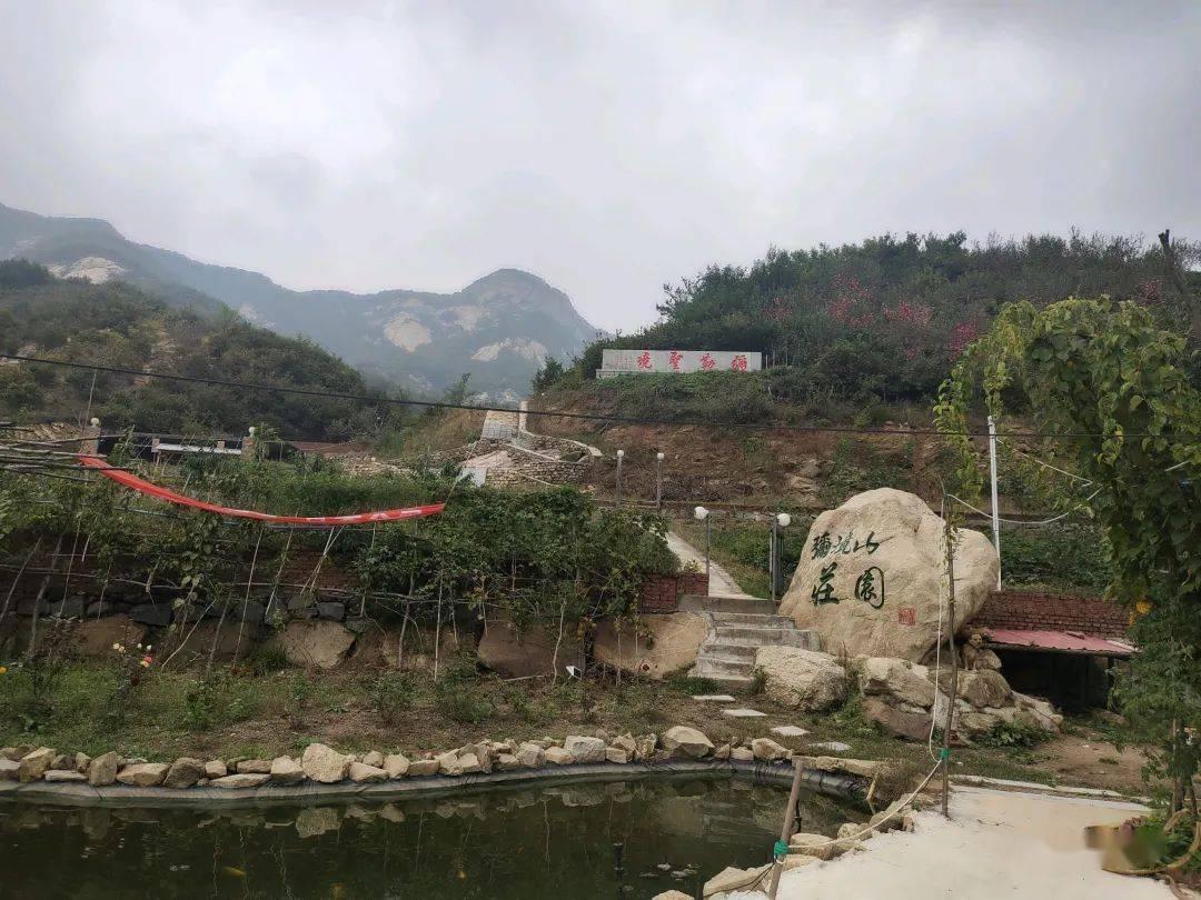 腿粗胯宽的女生真的不适合穿小脚西裤吗？小脚西裤应该怎么搭配？游戏画面